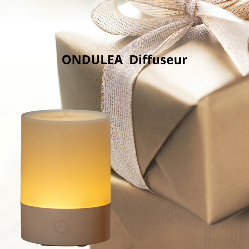 Petit diffuseur d'huiles essentiels avec lumière 200 ml.